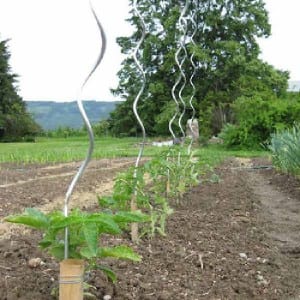 Popular Design for Window Screening -<br />
Growing Spiral - YiTongHang