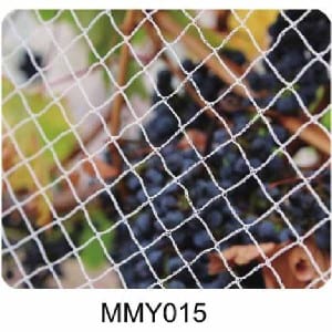 Well-designed Double Gate -<br />
 Bird Net - YiTongHang